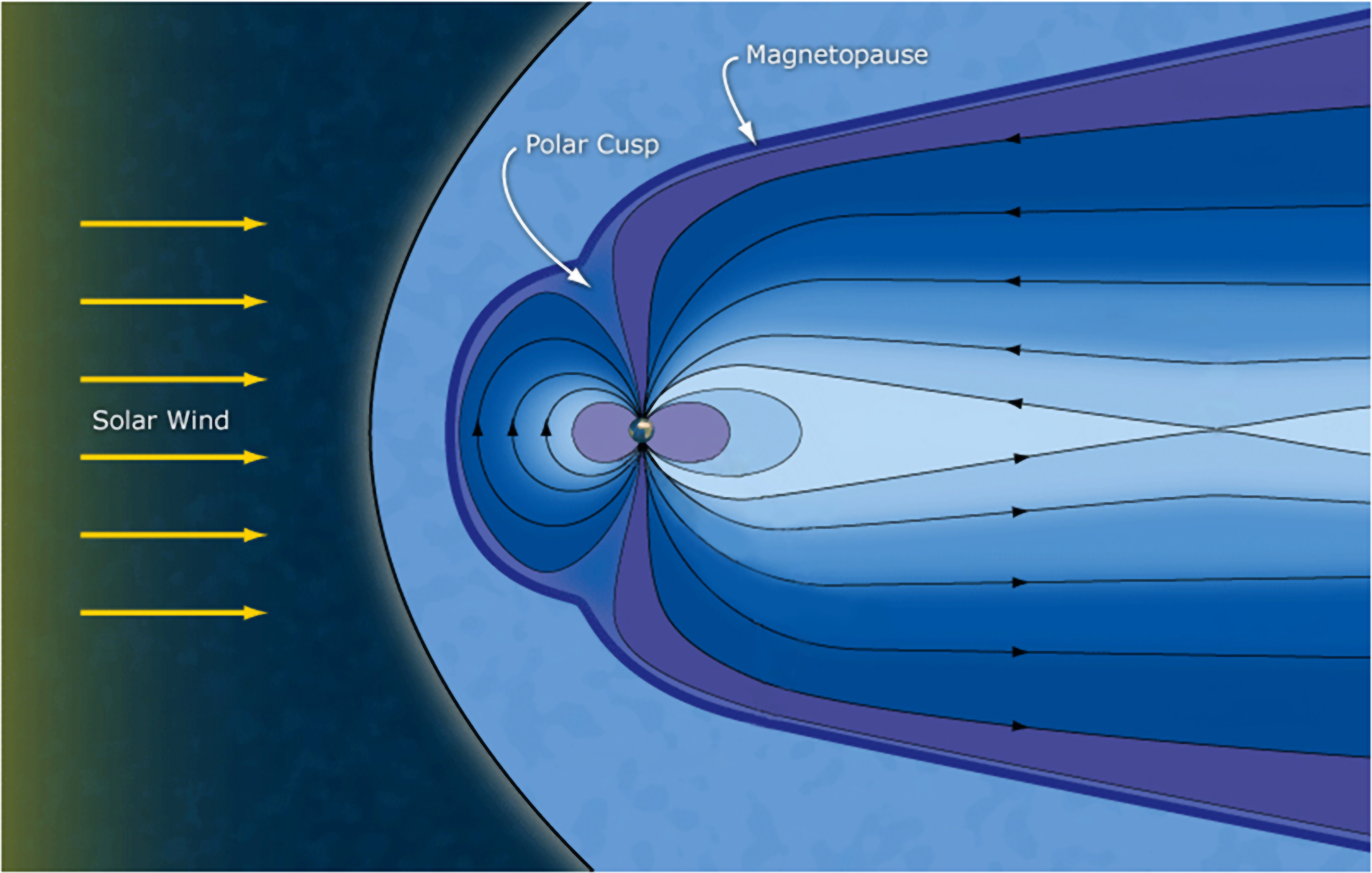 A simplified graphic of the Earth's magnetosphere and magnetic field lines, with labels indicating the solar wind, polar cusp, and magnetopause